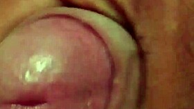 What intriguing Sergipe masturbation secrets await discovery?