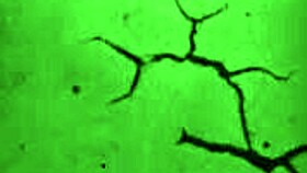 im zeitalter der unschuld