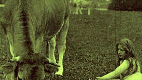 dark lantern entertainment presents from my secret life the erotic confessions of a victorian english gentleman