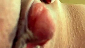 ela gritou dizendo meu nome rosa vermelha