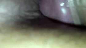 Suggestive Sexy Anal Assfucking In Homemade Setting