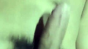 An unforgettable encounter in the cabin with amateurs and transsexuals