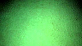 vid 20171101 183328 casual chat