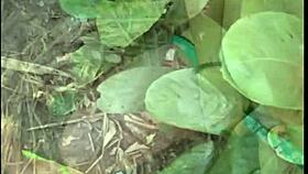 comi um desconhecido que estava batendo uma na trilha with anal slave casting