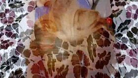 New Lingerie Sparks Passionate Encounters.