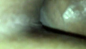 Suggestive Sexy Anal Assfucking In Homemade Setting