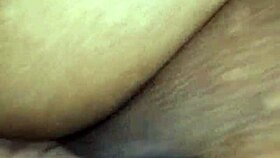 hotwife takes four creampies in 24 hours?