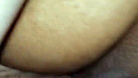 hotwife takes four creampies in 24 hours?