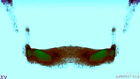 Intriguing Mexytarte Casting Session In Gdl