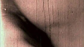 yo, this vintage erotic art features retro hairy pussy scenes