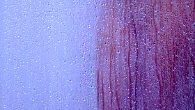 hey, that college tanned gorgeous girl takes a shower in bikini, he whispers excitedly.