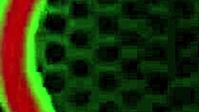 Pawg Bbc Rome Major Fucks Virgo Peridot