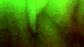 Pretty Pussy Ebony Solo