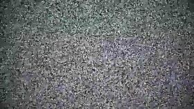 Una culiada como esta nunca cae mal que rico culo