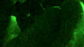 Can You Handle This Monster Cock Footjob Cumshot Fun?