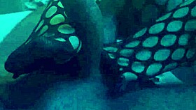 Sexy Footjob in Nylons and Leggings