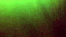 Pretty Pussy Ebony Solo