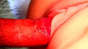 Penetrating her vagina is an everyday activity