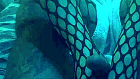 Sexy Footjob in Nylons and Leggings