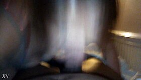 Amateur Couple in Interracial Reverse Cowgirl Riding with Blowjob and Intense Positions