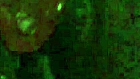 I Love Fucking My Pussy With Dildo