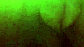 Pretty Pussy Ebony Solo