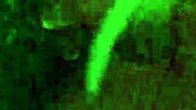 I Love Fucking My Pussy With Dildo