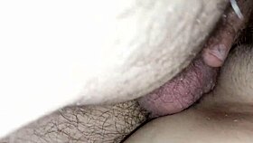 Sveltina Under The Covers