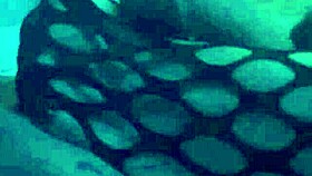 Sexy Footjob in Nylons and Leggings