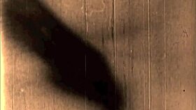 Vintage Erotic Collection