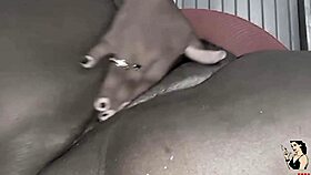 Black BBW's Fat Pussy In Hardcore Trailer Tease