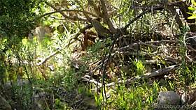 Wow, check out these adorable lesbians licking each other's wet cunts outdoors!