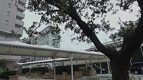 japanese teacher tricked into simple shoot