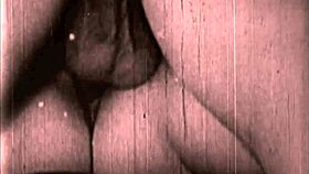 Vintage Erotic Collection