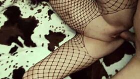 homemade amateur compilation with anal from 36 years couple