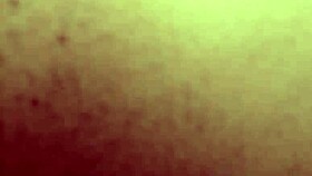 fuck big ass in the bush hot afternoon 😈