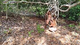 Living in paradise of intense anal banging with big tits