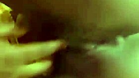 update on petal project from jun 01 2025