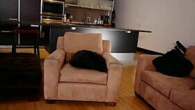 Jenevieve Hexx & Vinyl Vixon 2 Girl Big Dick Pov Blowjob And Cum Swap And Swallow