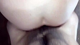 follo culona tetona lapijarg 😏