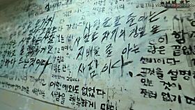 Did You Make This Interactive Movie About Running Away?