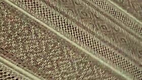 Little princess cums on huge dick instantly