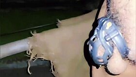 Piss walking in chastity cage