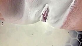 Feel the passion in this sexy hot compilation of masturbation dance and modeling by teen 18+ arabian snowwhite in los angeles usa