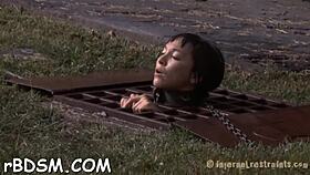 Free Sadomasochism Sex Stories