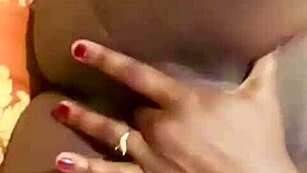 update on petal project from jun 01 2025