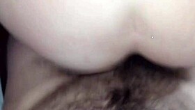 follo culona tetona lapijarg 😏