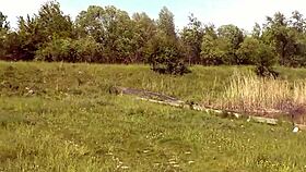 Can this milf handle beach exposure alone?