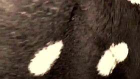 Wifey Plays with Pussy