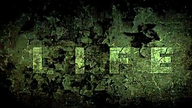 i enjoy vintage illustrations with a personal touch